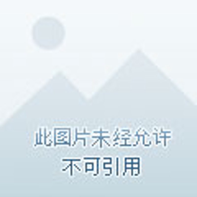 东方市广告策划行业的最新动态